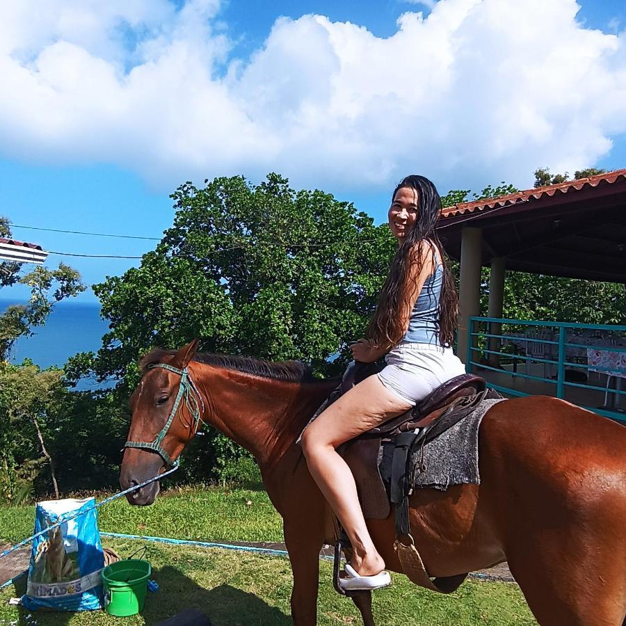 Hotel Rancho Juancho à Portobelo Extérieur photo